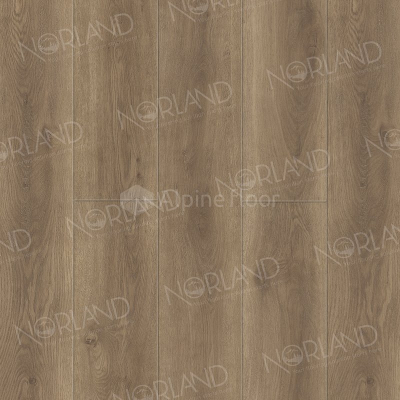 SPC Ламинат "Norland" Tista (1220*196*8 мм) — купить в Ногинске