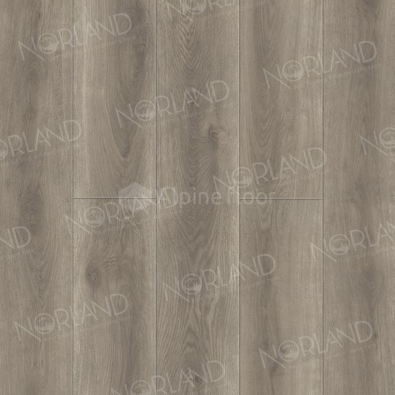 SPC Ламинат "Norland" Templet (1220*196*8 мм) — купить в Ногинске