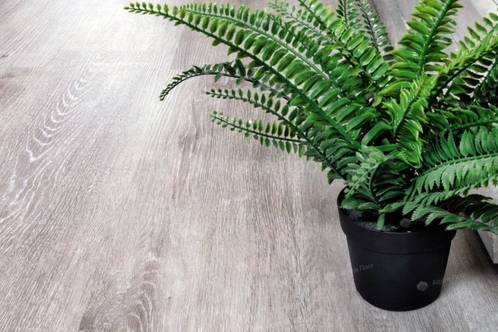 Виниловый ламинат "Alpine Floor" Classic Light MC Ясень Серый (1220*183*3,5 мм) — купить в Ногинске